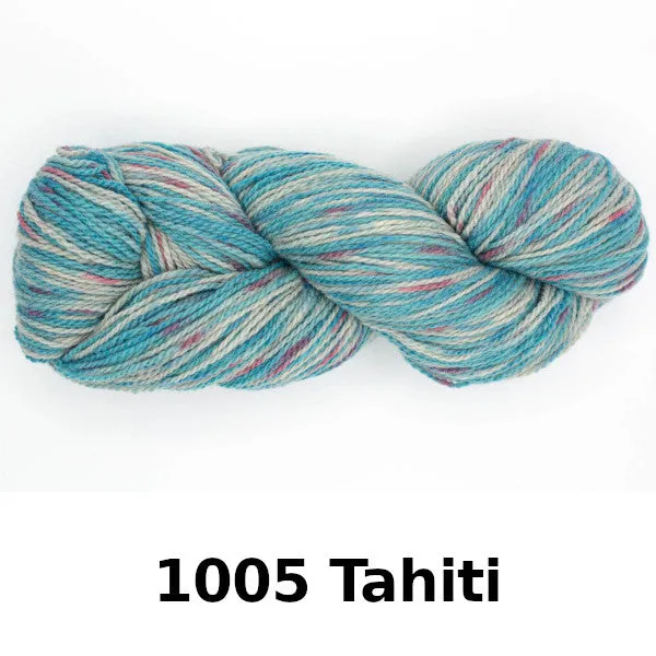 Juniper Moon Farm Patagonia Organic Merino Hand Paints
