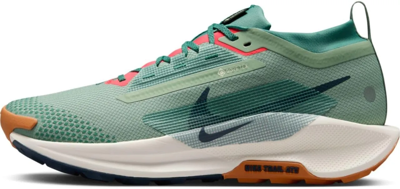 Nike Pegasus Trail 5 GORE-TEX Men's Waterproof Trail Running Shoes