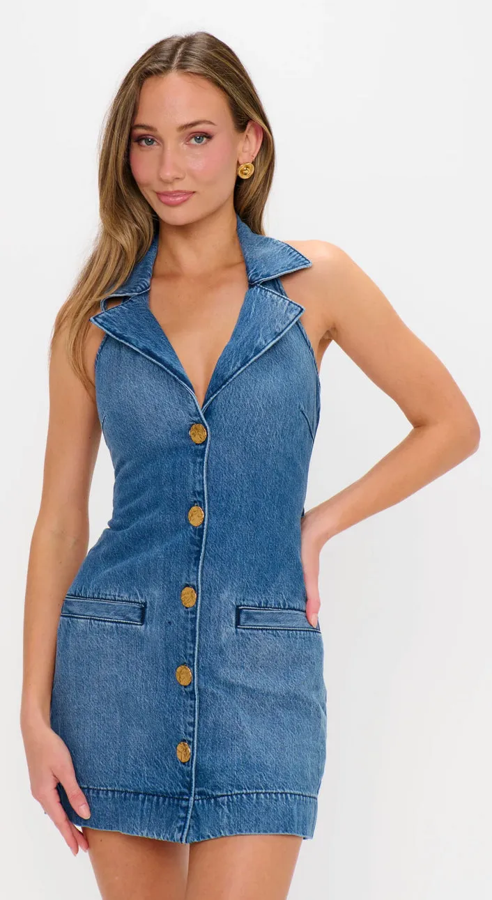 Show Me Your Mumu ‘Darien Dress’